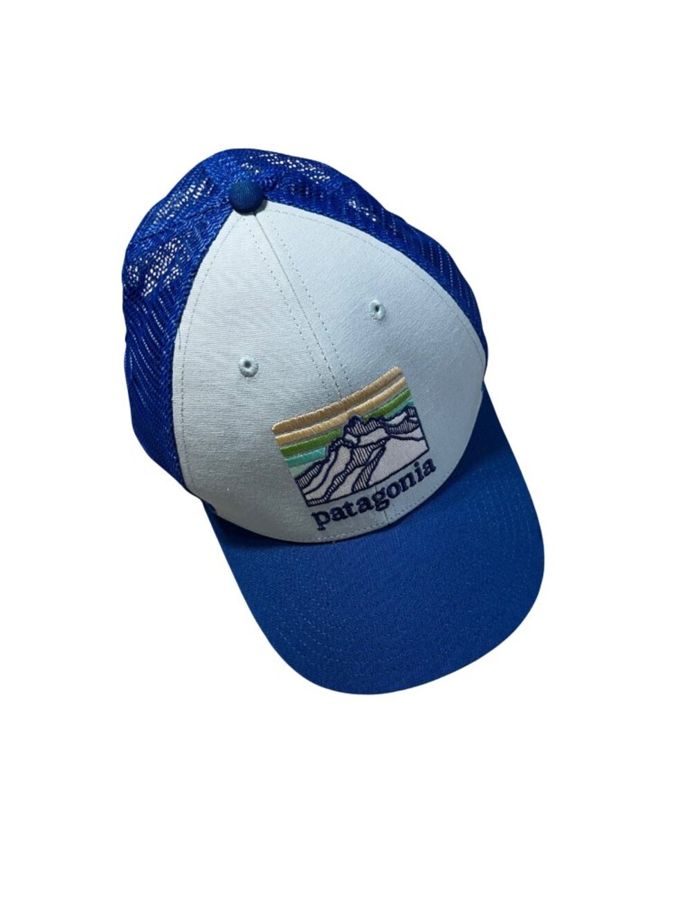 Patagonia Blue Line Logo Ridge LoPro Trucker Hat Mountain Logo Design Mesh Back